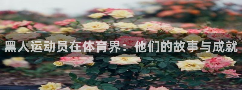 意昂5Kgame体育注册登录入口