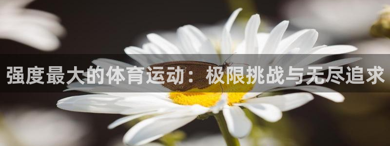 意昂5Kgame体育代理申请流程